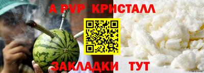 гашик Кингисепп