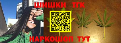 гашик Кингисепп