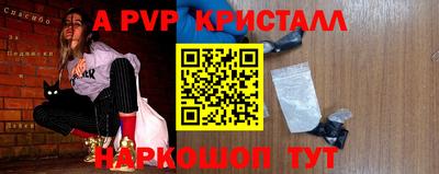 гашик Кингисепп