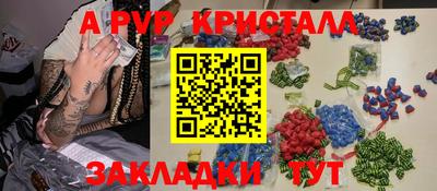 гашик Кингисепп