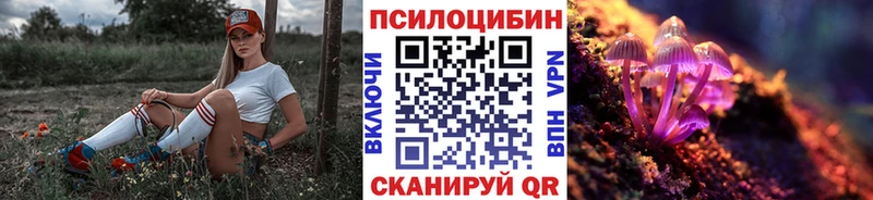 Галлюциногенные грибы Psilocybe  Северск 