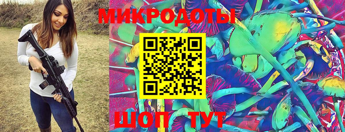 Псилоцибиновые грибы Cubensis Северск