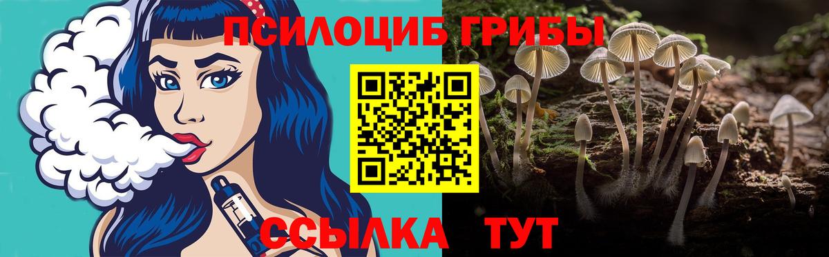 Галлюциногенные грибы ЛСД  Вход с VPN  Северск 